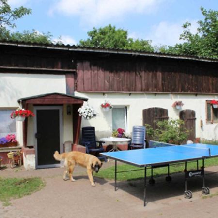 Heidi Apartment Zinnowitz Luaran gambar